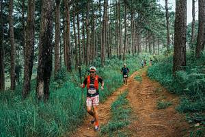 BIB: 
                            <button type="button" onclick="openModal(25663070)" class="btn btn-primary btn-sm float-right btn-popup" data-toggle="modal" data-target=".modal-high-quality">
                        <i class="fas fa-shopping-cart"></i> Add to Cart
                    </button>
                                            <button type="button" onclick="isThisMe(25663070, true)" class="btn btn-success btn-sm float-right btn-popup btn-isme hidden" data-toggle="tooltip" data-placement="bottom" title="นี่คือรูปของคุณใช่ไหม คลิกที่นี่เพื่อเอาเข้าอัลบั้ม">
                        <i class="fas fa-plus"></i> Add to album
                    </button>
                    <button type="button" onclick="isThisMe(25663070, false)" class="btn btn-warning btn-sm float-right btn-popup btn-isnotme hidden">
                        <i class="fas fa-ban"></i> Remove from album
                    </button>